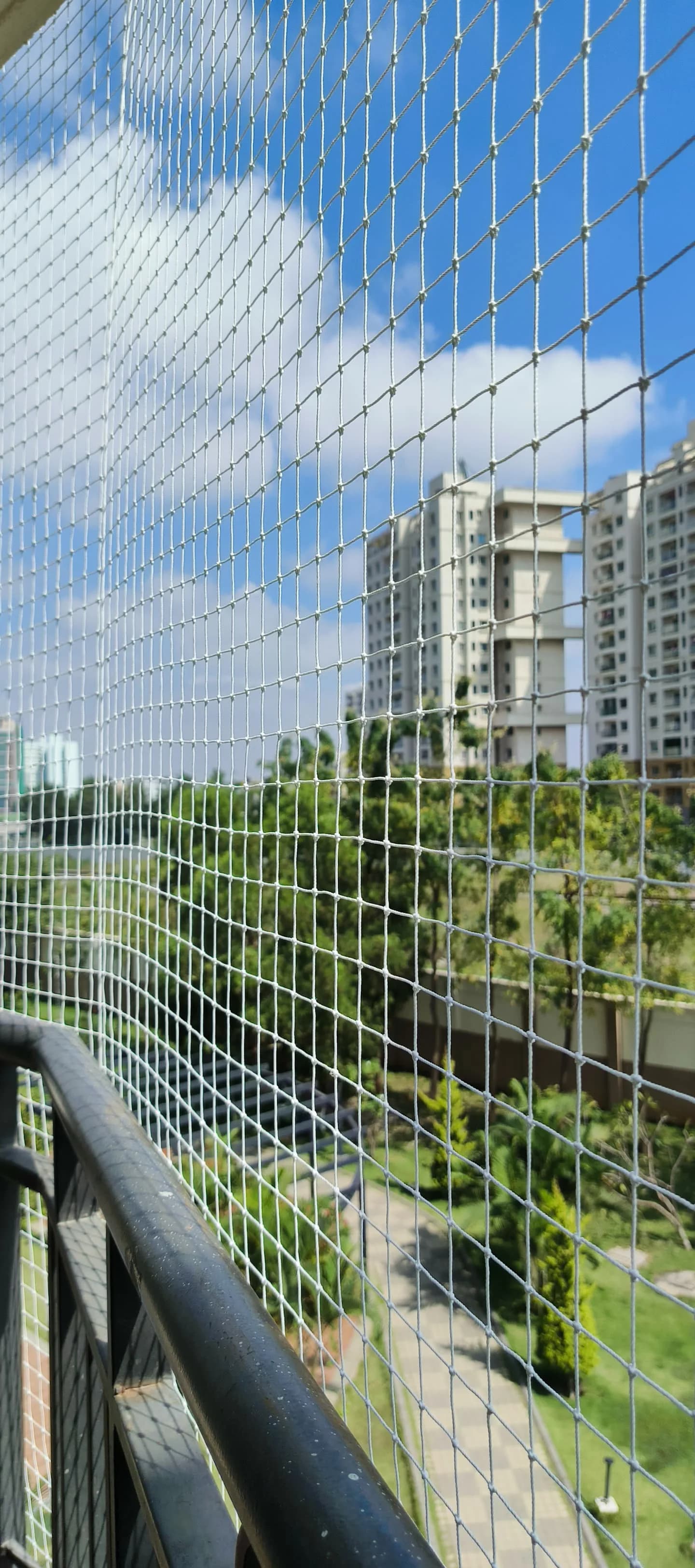 Pigeon and bird protection net installation