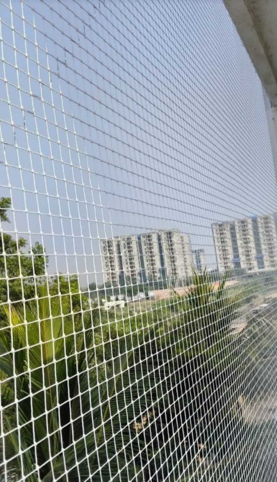 Balcony safety net with palm and apartment view