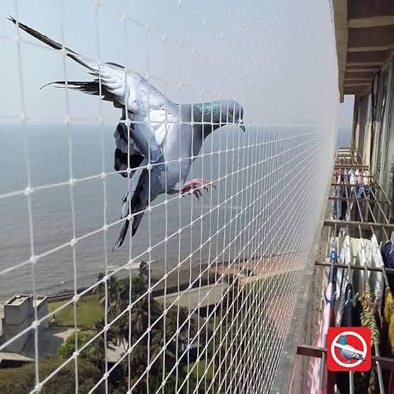 Pet safety net installation